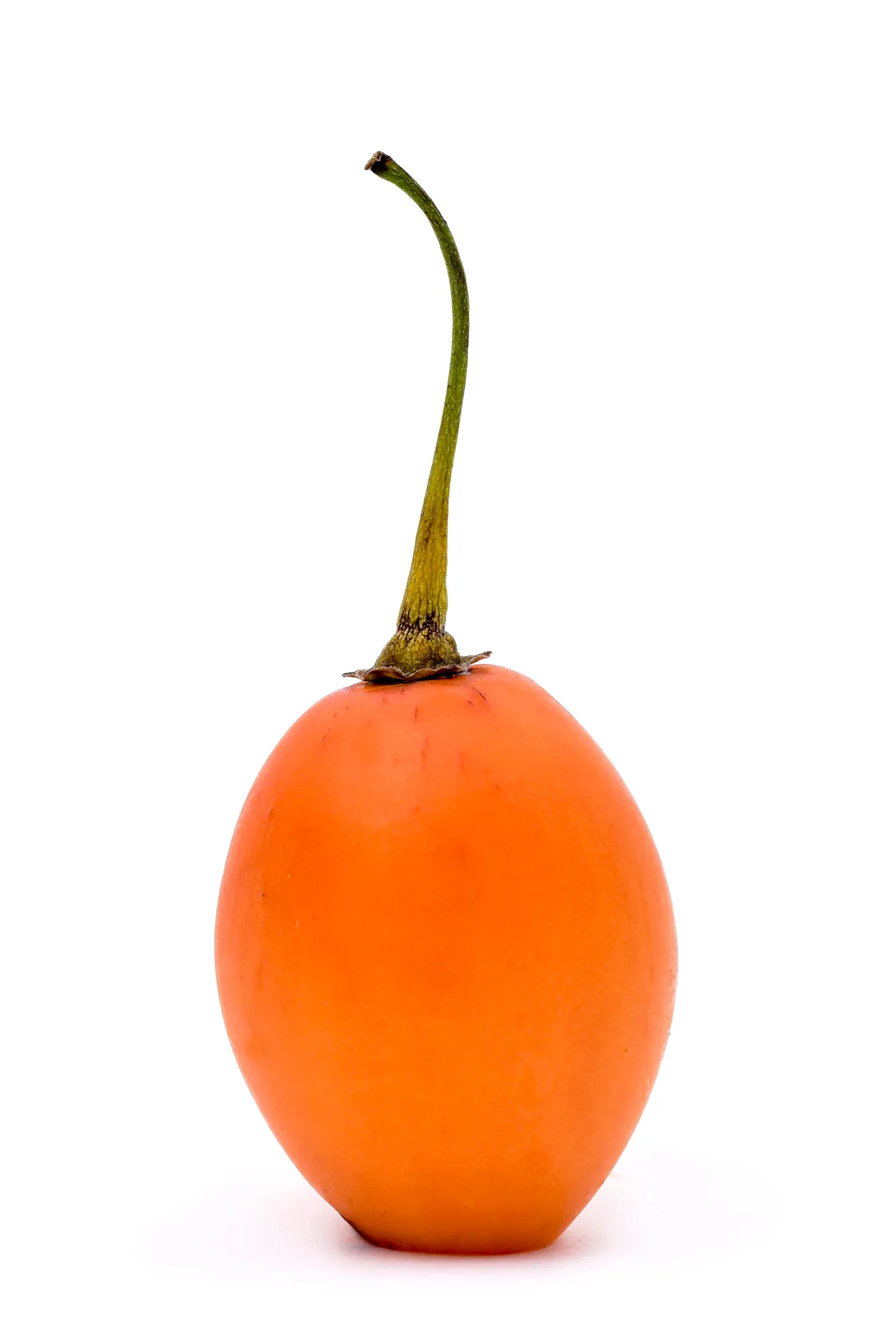Pulpa aséptica de tomate de árbol